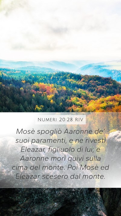 Numeri 20:28 RIV Mobile Phone Wallpaper - Mosè spogliò Aaronne de’ suoi paramenti, e ne - Mobile Bible Verse Wallpaper