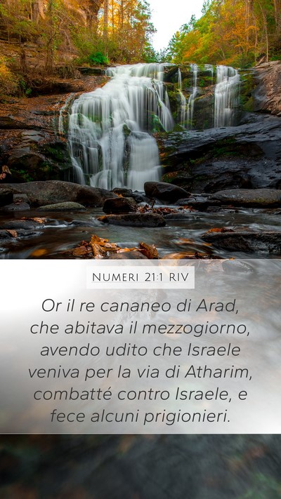 Numeri 21:1 RIV Mobile Phone Wallpaper - Or il re cananeo di Arad, che abitava il - Mobile Bible Verse Wallpaper