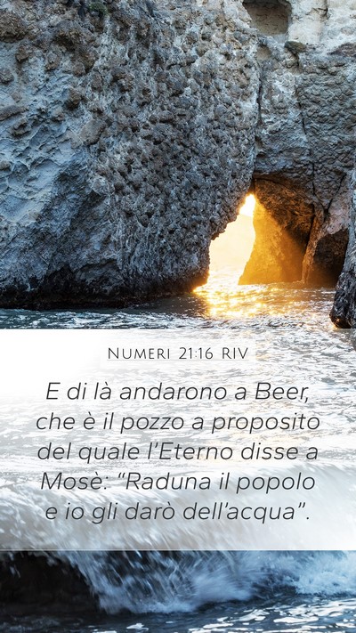 Numeri 21:16 RIV Bible Verse Image