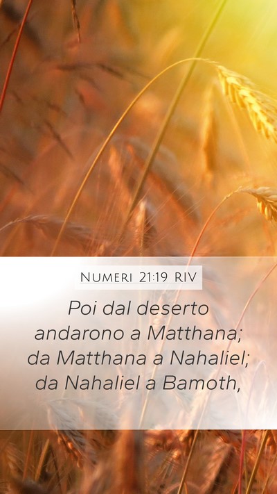 Numeri 21:19 RIV Mobile Phone Wallpaper - Poi dal deserto andarono a Matthana; da Matthana - Mobile Bible Verse Wallpaper