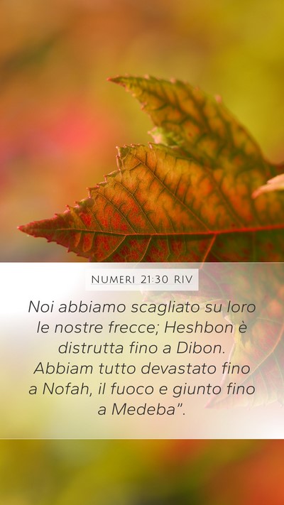 Numeri 21:30 RIV Bible Verse Image