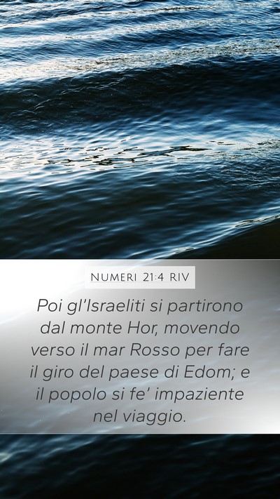 Numeri 21:4 RIV Bible Verse Image