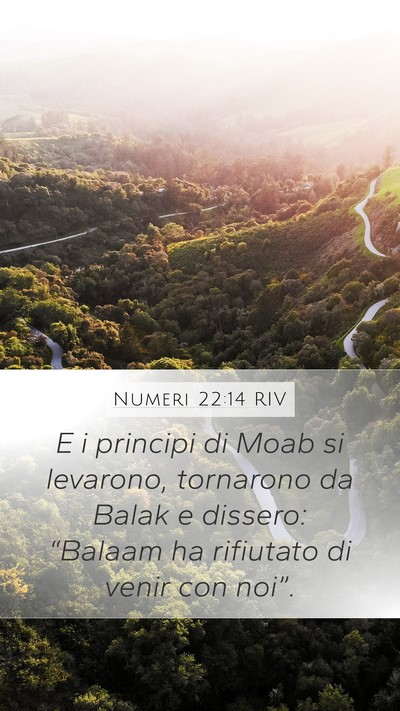 Numeri 22:14 RIV Bible Verse Image