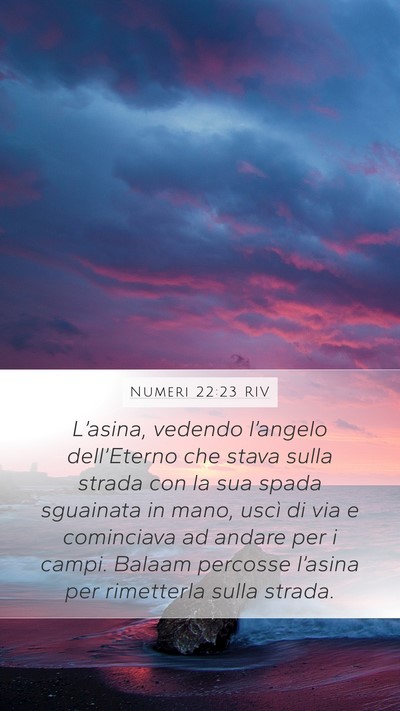 Numeri 22:23 RIV Mobile Phone Wallpaper - L’asina, vedendo l’angelo dell’Eterno che - Mobile Bible Verse Wallpaper