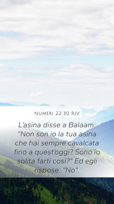 Numeri 22:30 RIV Mobile Phone Wallpaper - L’asina disse a Balaam: “Non son io la tua - Mobile Bible Verse Wallpaper