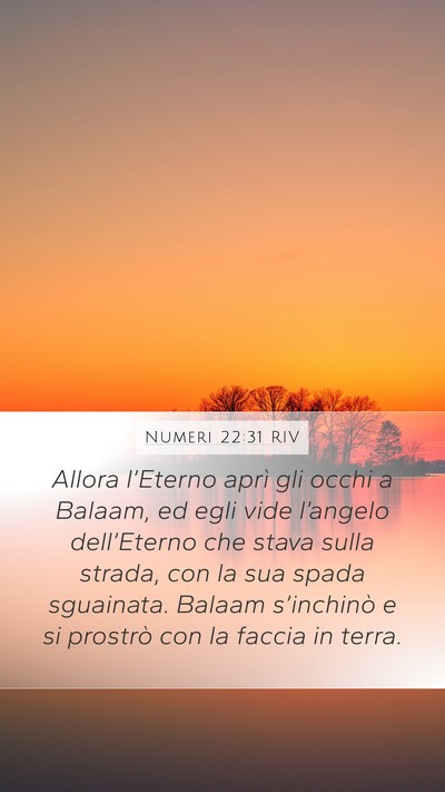 Numeri 22:31 RIV Bible Verse Image