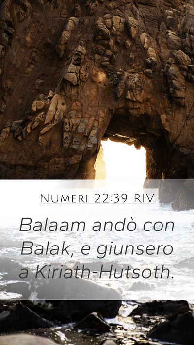 Numeri 22:39 RIV Bible Verse Image