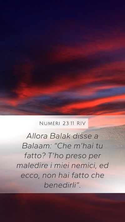 Numeri 23:11 RIV Mobile Phone Wallpaper - Allora Balak disse a Balaam: “Che m’hai tu - Mobile Bible Verse Wallpaper