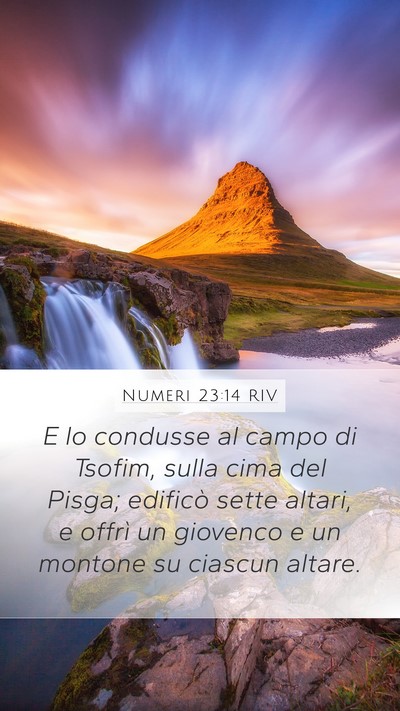 Numeri 23:14 RIV Bible Verse Image