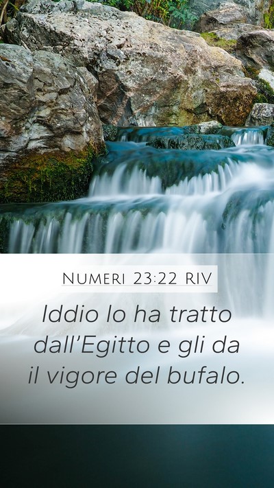 Numeri 23:22 RIV Bible Verse Image