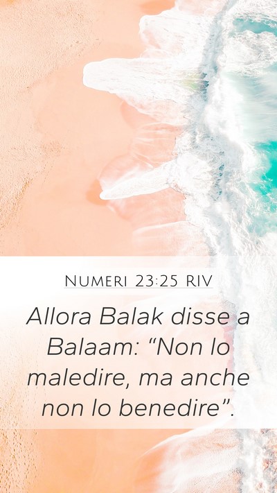 Numeri 23:25 RIV Bible Verse Image