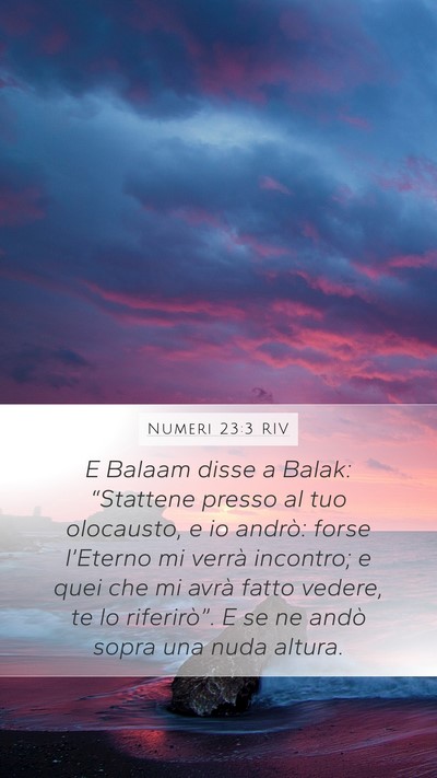 Numeri 23:3 RIV Bible Verse Image