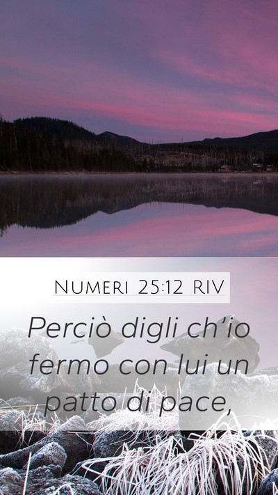 Numeri 25:12 RIV Mobile Phone Wallpaper - Perciò digli ch’io fermo con lui un patto di - Mobile Bible Verse Wallpaper
