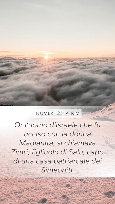 Numeri 25:14 RIV Bible Verse Image