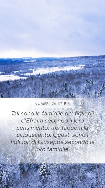 Numeri 26:37 RIV Bible Verse Image