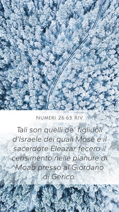Numeri 26:63 RIV Bible Verse Image