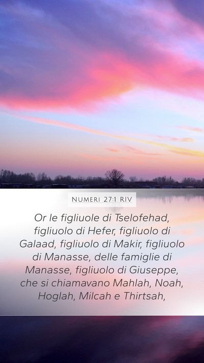 Numeri 27:1 RIV Bible Verse Image