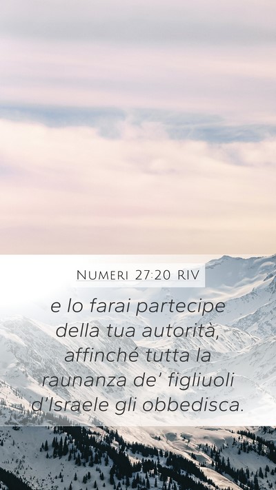 Numeri 27:20 RIV Bible Verse Image