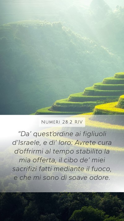 Numeri 28:2 RIV Mobile Phone Wallpaper - “Da’ quest’ordine ai figliuoli d’Israele, - Mobile Bible Verse Wallpaper