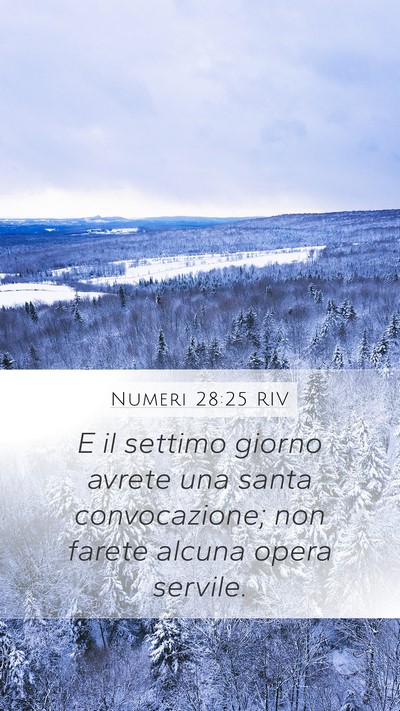 Numeri 28:25 RIV Mobile Phone Wallpaper - E il settimo giorno avrete una santa - Mobile Bible Verse Wallpaper