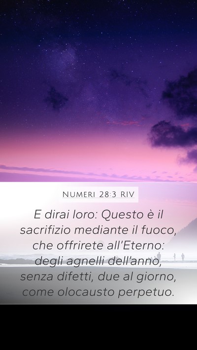 Numeri 28:3 RIV Bible Verse Image