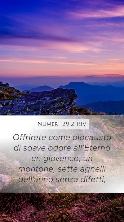 Numeri 29:2 RIV Bible Verse Image