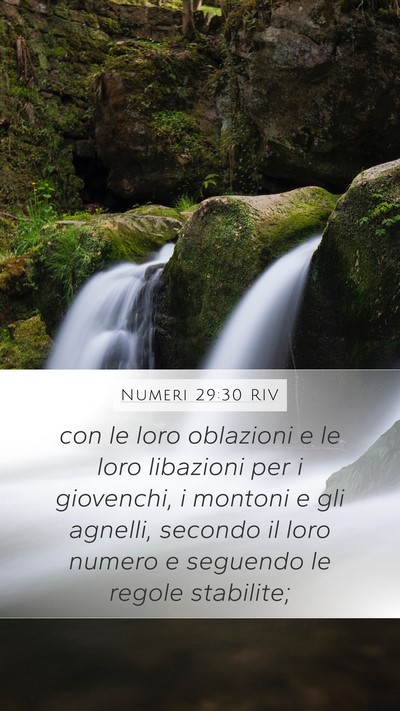 Numeri 29:30 RIV Mobile Phone Wallpaper - con le loro oblazioni e le loro libazioni per i - Mobile Bible Verse Wallpaper