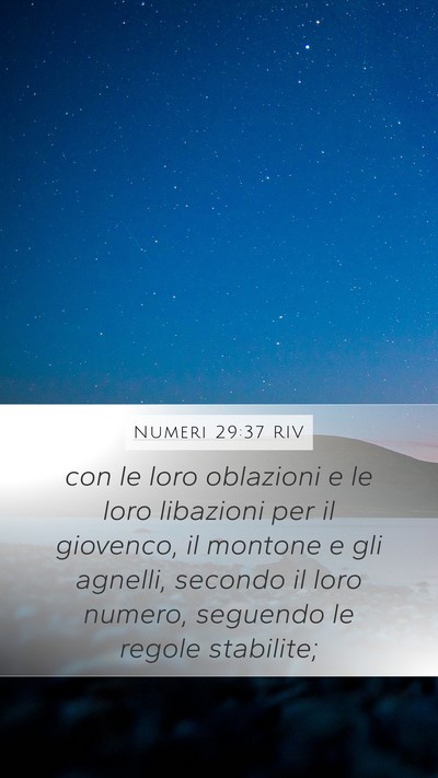 Numeri 29:37 RIV Mobile Phone Wallpaper - con le loro oblazioni e le loro libazioni per il - Mobile Bible Verse Wallpaper
