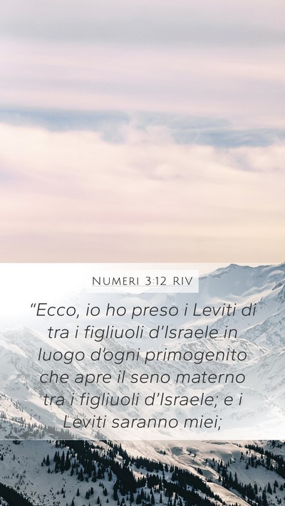 Numeri 3:12 RIV Bible Verse Image