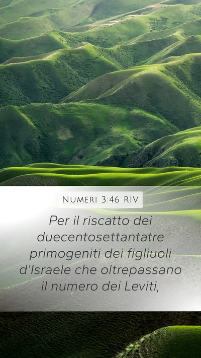 Numeri 3:46 RIV Bible Verse Image