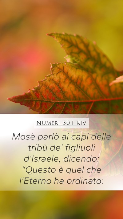 Numeri 30:1 RIV Mobile Phone Wallpaper - Mosè parlò ai capi delle tribù de’ figliuoli - Mobile Bible Verse Wallpaper