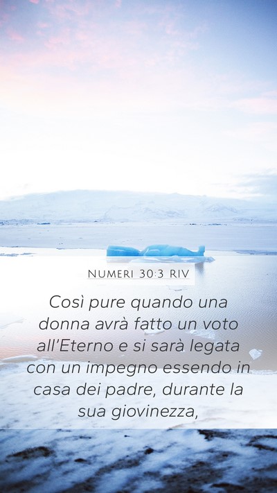 Numeri 30:3 RIV Bible Verse Image