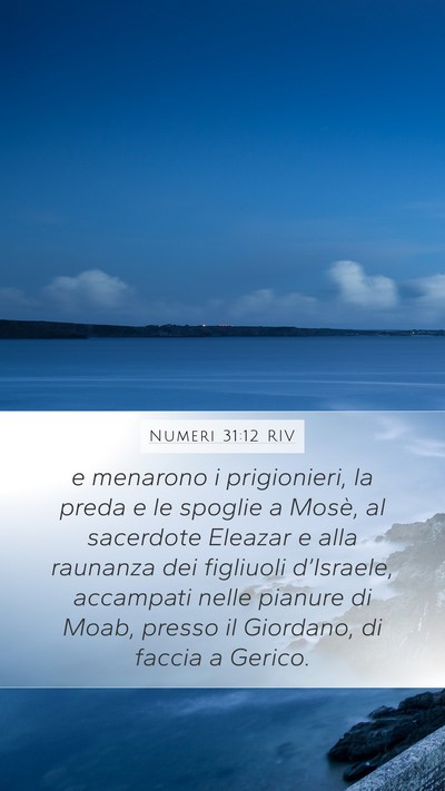 Numeri 31:12 RIV Bible Verse Image