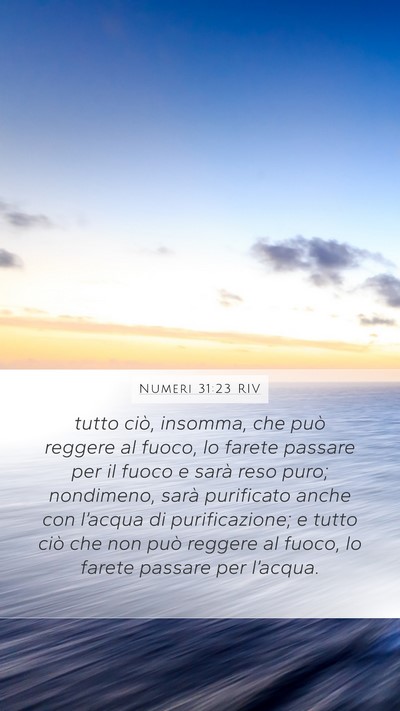 Numeri 31:23 RIV Mobile Phone Wallpaper - tutto ciò, insomma, che può reggere al fuoco, - Mobile Bible Verse Wallpaper