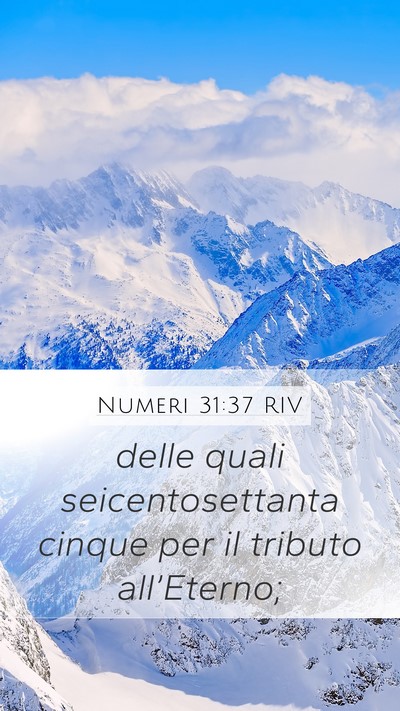 Numeri 31:37 RIV Mobile Phone Wallpaper - delle quali seicentosettanta cinque per il - Mobile Bible Verse Wallpaper