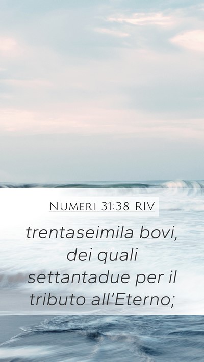 Numeri 31:38 RIV Mobile Phone Wallpaper - trentaseimila bovi, dei quali settantadue per il - Mobile Bible Verse Wallpaper