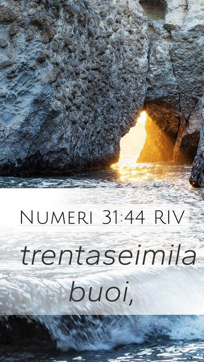 Numeri 31:44 RIV Mobile Phone Wallpaper - trentaseimila - Mobile Bible Verse Wallpaper