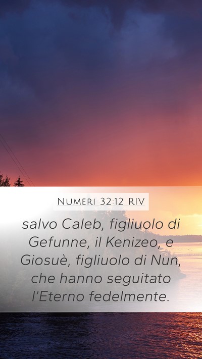 Numeri 32:12 RIV Bible Verse Image
