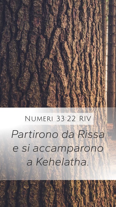 Numeri 33:22 RIV Mobile Phone Wallpaper - Partirono da Rissa e si accamparono a - Mobile Bible Verse Wallpaper