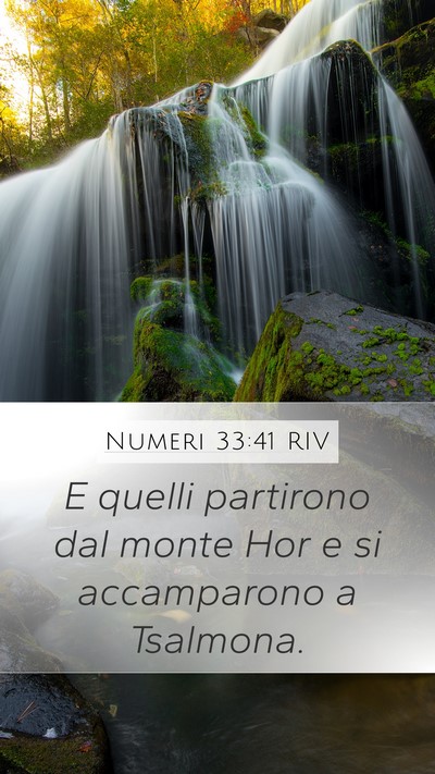 Numeri 33:41 RIV Bible Verse Image
