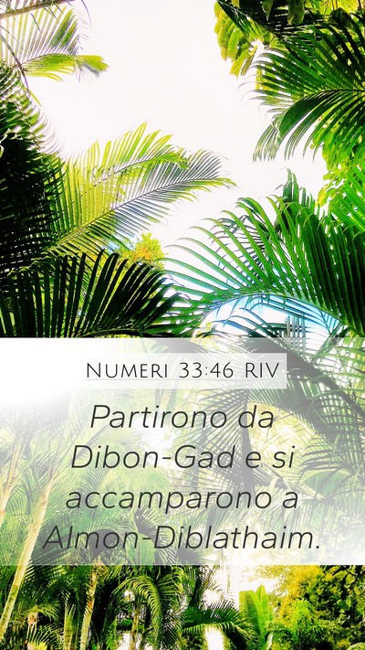 Numeri 33:46 RIV Bible Verse Image