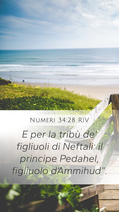 Numeri 34:28 RIV Mobile Phone Wallpaper - E per la tribù de’ figliuoli di Neftali: il - Mobile Bible Verse Wallpaper