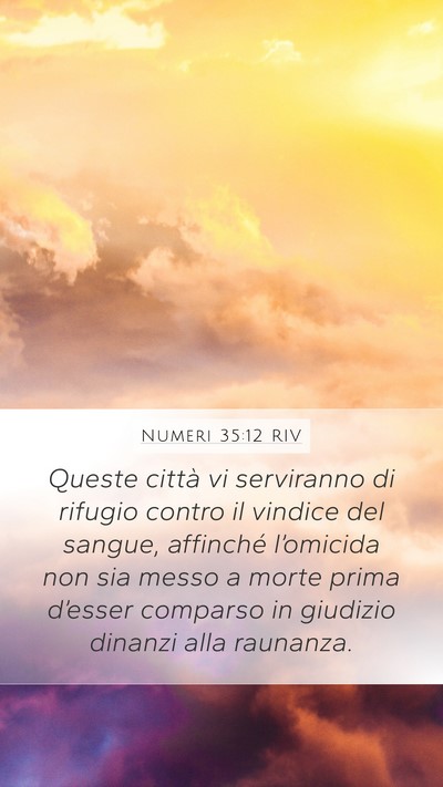 Numeri 35:12 RIV Bible Verse Image