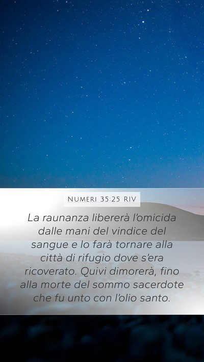 Numeri 35:25 RIV Bible Verse Image