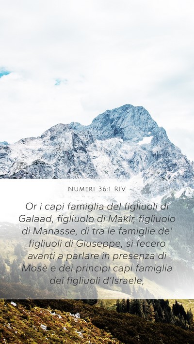 Numeri 36:1 RIV Bible Verse Image