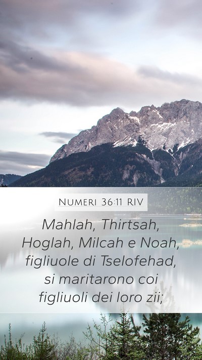 Numeri 36:11 RIV Mobile Phone Wallpaper - Mahlah, Thirtsah, Hoglah, Milcah e Noah, - Mobile Bible Verse Wallpaper