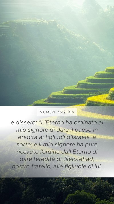 Numeri 36:2 RIV Mobile Phone Wallpaper - e dissero: “L’Eterno ha ordinato al mio - Mobile Bible Verse Wallpaper