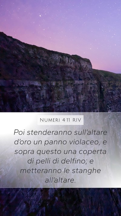 Numeri 4:11 RIV Bible Verse Image