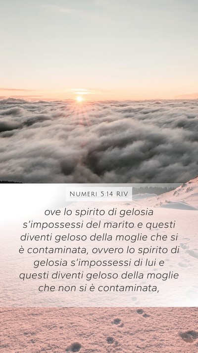 Numeri 5:14 RIV Bible Verse Image