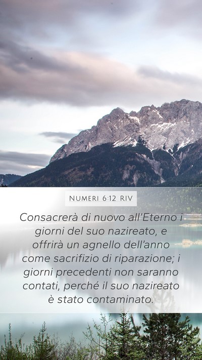 Numeri 6:12 RIV Bible Verse Image